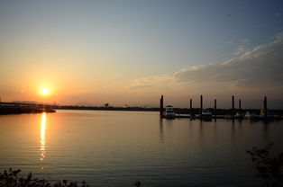 开云·体育官网APP下载-千帆竞发，轻艇马拉松点亮湖滨赛场，赛艇马拉松多少公里